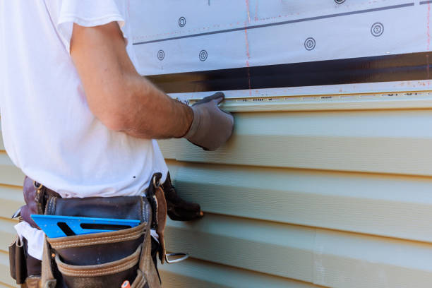 Best Insulated Siding Installation  in Edinburg, IL